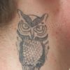 Tatouage hibou