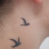 Tatouage oiseaux