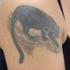 Tatouage puma